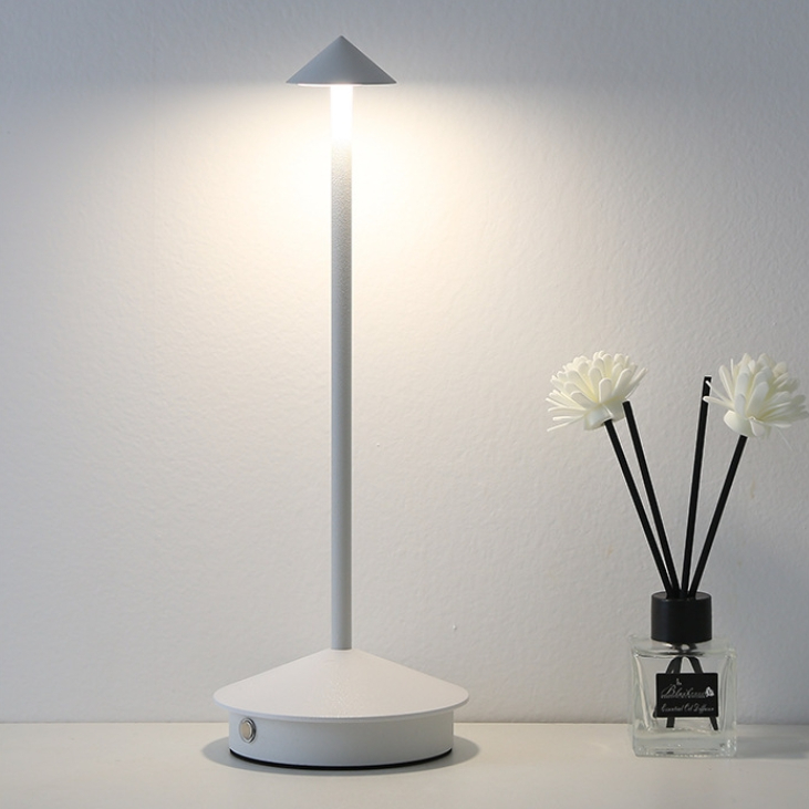 Modern Minimalist LED Table Decor Lamp