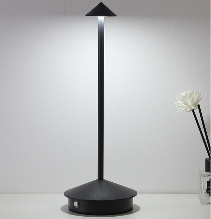Modern Minimalist LED Table Decor Lamp