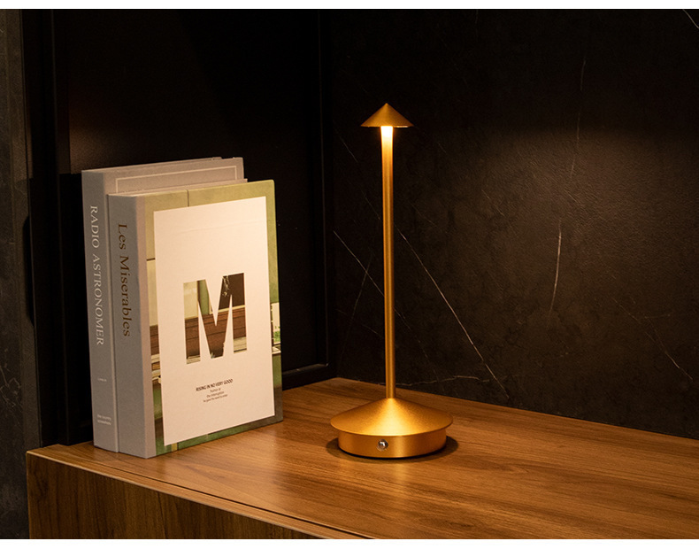 Modern Minimalist LED Table Decor Lamp